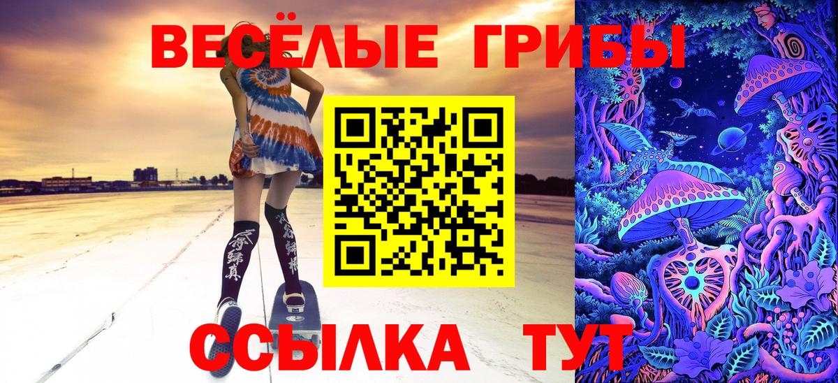 Кудрово  Галлюциногенные грибы мухоморы  Вход с VPN 
